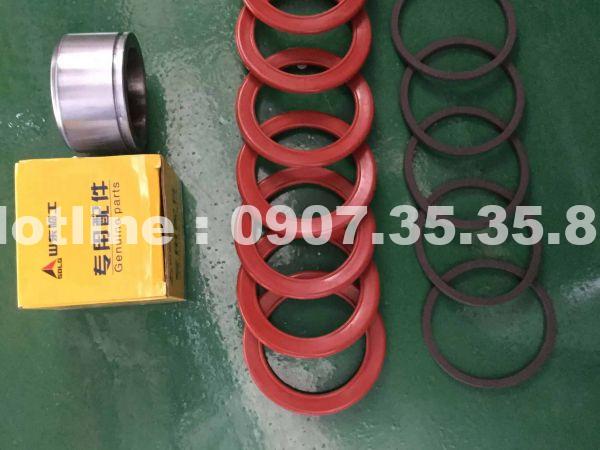 piston phanh