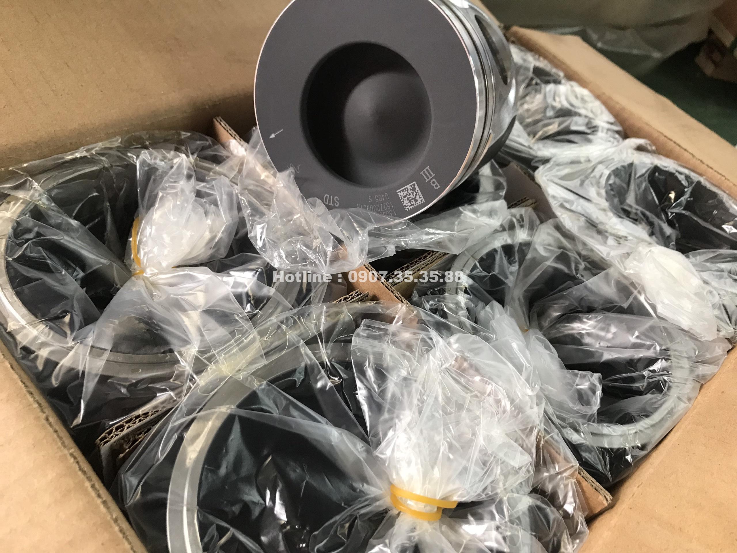 bo_hoi_wp6 bo hoi wp6